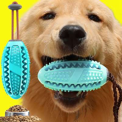 Dog teeth cleaner dog chew toy dog toy